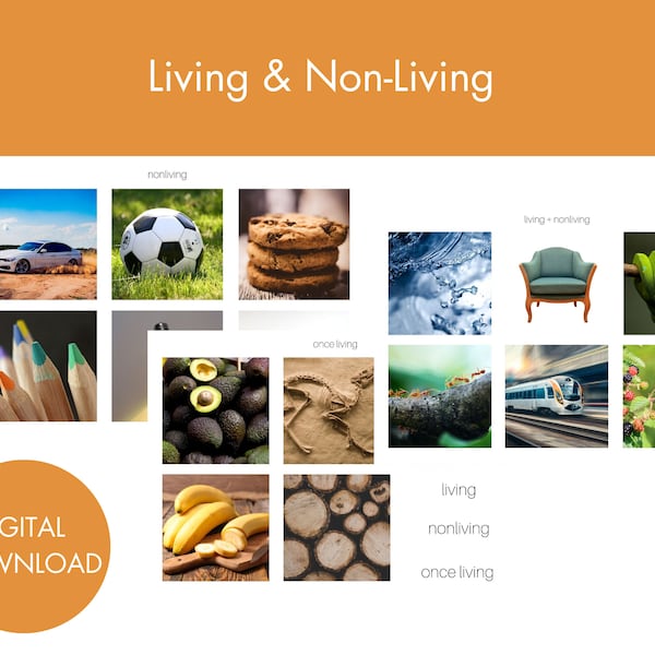 Living & Non Living | Montessori Geography Printable