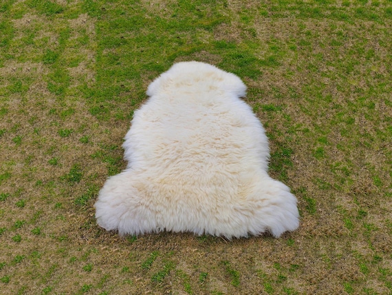Genuine Sheep Skin Rugs - Natural White Sheepskin Rugs - Icelandic Sheepskin Area Rugs - Home Decorative Fur Sheepskin Throw Rugs