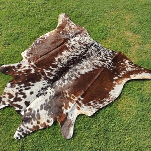 Elevate your space with our Brazilian Cow Hide Rugs – perfect for use as Living Room Rugs, Ottoman Rugs, or striking accent pieces. Made from 100% natural cow skin, each tri-color rug features a beautiful brindle cow hide pattern in rich brown and white tones. These hair-on rugs offer a soft texture and unique charm, making them timeless cow skin rugs for any interior.