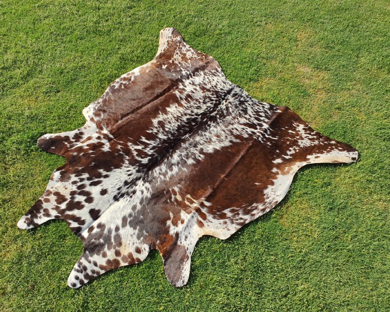 Elevate your space with our Brazilian Cow Hide Rugs – perfect for use as Living Room Rugs, Ottoman Rugs, or striking accent pieces. Made from 100% natural cow skin, each tri-color rug features a beautiful brindle cow hide pattern in rich brown and white tones. These hair-on rugs offer a soft texture and unique charm, making them timeless cow skin rugs for any interior.