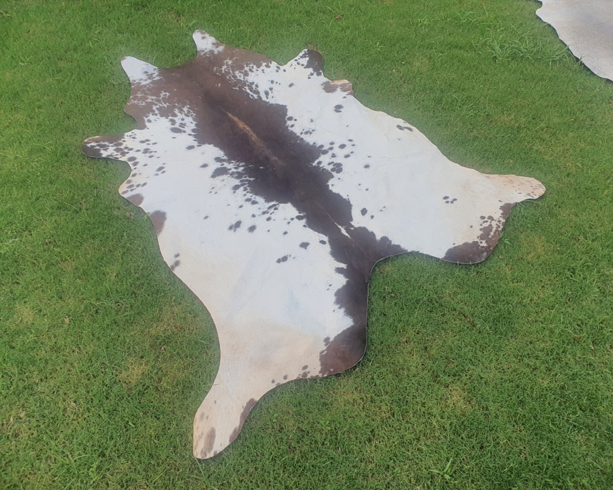 Brown and White Cowhide-best Cowhide-cow Skin Hide-tri-colour Rug ...