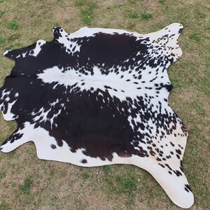May include: Black and white cowhide rug with a spotted pattern. The rug is laid out on a grassy surface.