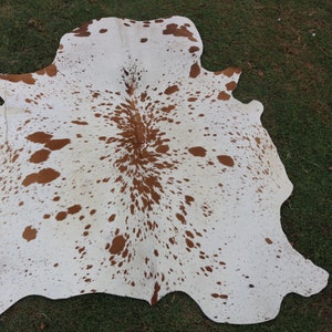 May include: A white cowhide rug with brown spots. The rug is laid out on a green grassy surface.