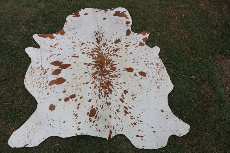 May include: A white cowhide rug with brown spots. The rug is laid out on a green grassy surface.
