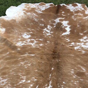 Pode incluir: Um tapete de pele de vaca marrom e branco com um padr&atilde;o natural manchado.