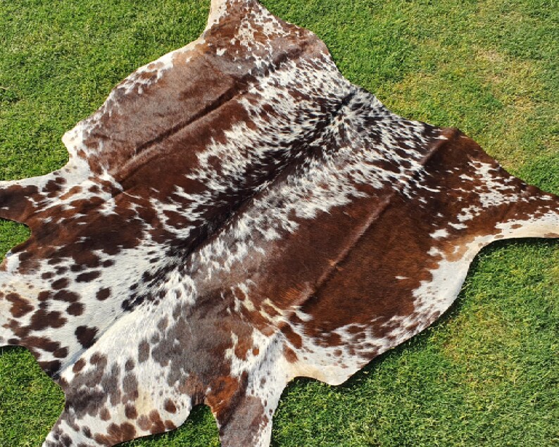 Elevate your space with our Brazilian Cow Hide Rugs – perfect for use as Living Room Rugs, Ottoman Rugs, or striking accent pieces. Made from 100% natural cow skin, each tri-color rug features a beautiful brindle cow hide pattern in rich brown and white tones. These hair-on rugs offer a soft texture and unique charm, making them timeless cow skin rugs for any interior.