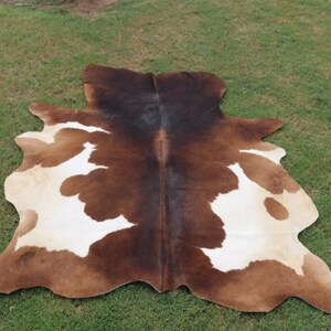 May include: A brown and white cowhide rug with a natural, rustic look. The hide is soft and supple, with a unique pattern of brown and white patches.