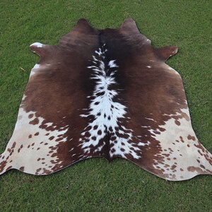 Puede incluir: Alfombra de piel de vaca marrón y blanca con un patrón de manchas. La alfombra está colocada sobre una superficie de hierba verde.