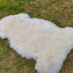 May include: A white sheepskin rug with a soft, fluffy texture. The rug is laid out on a grassy surface.
