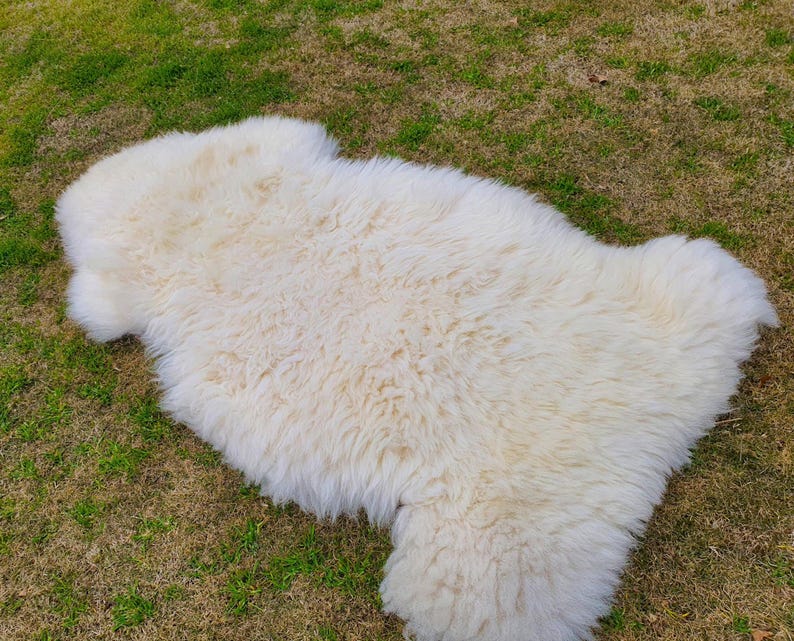 May include: A white sheepskin rug with a soft, fluffy texture. The rug is laid out on a grassy surface.