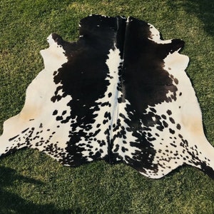 May include: Black and white cowhide rug with a spotted pattern. The rug is laid out on a green grassy surface.