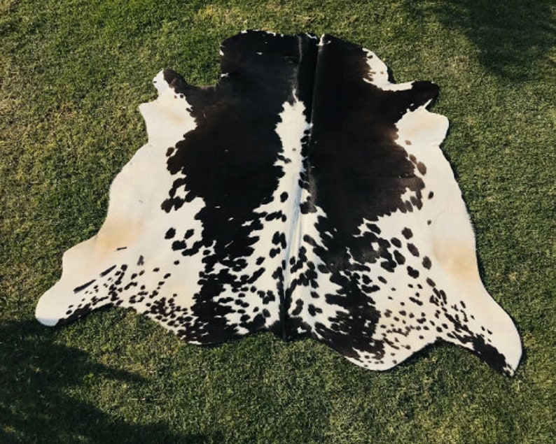 May include: Black and white cowhide rug with a spotted pattern. The rug is laid out on a green grassy surface.