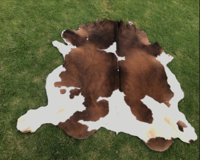 Op de afbeelding: Een bruin en wit koeienhuidkleed met een natuurlijke, onregelmatige vorm. De huid is zacht en soepel, met een rijke bruine kleur en witte vlekken.