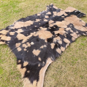 Puede incluir: Una alfombra de piel natural con un patrón de manchas distintivo. La alfombra presenta una combinación de colores negro y beige, creando un contraste llamativo. La piel está colocada sobre hierba verde, resaltando su textura y forma.