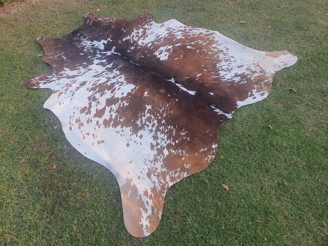 Real Cowhide Rug, 5x7 Rug Hair on Hides for Upholstery Projects Rug