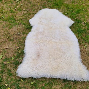 May include: A white fluffy sheepskin rug with a soft, plush texture. The rug is laid out on a grassy surface.