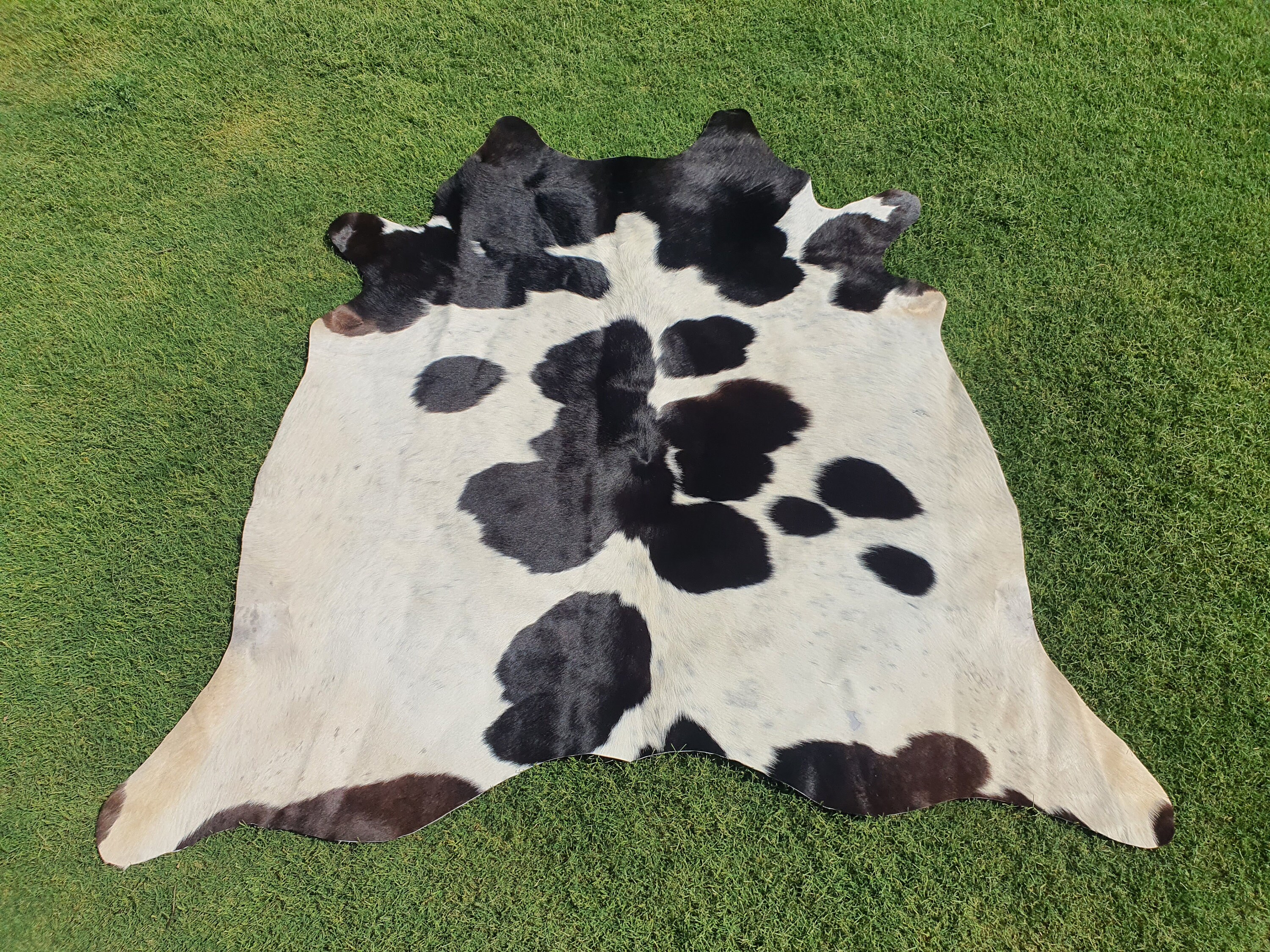 Special Cowhide Rugs for Bedroom Brown and white Cow Hide Rug For Bedroom Black and white Hides Brazilian Brindle Tricolour Cowhide