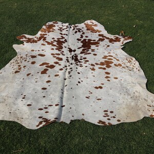 May include: A white cowhide rug with brown spots. The rug is laid out on a green grassy surface.