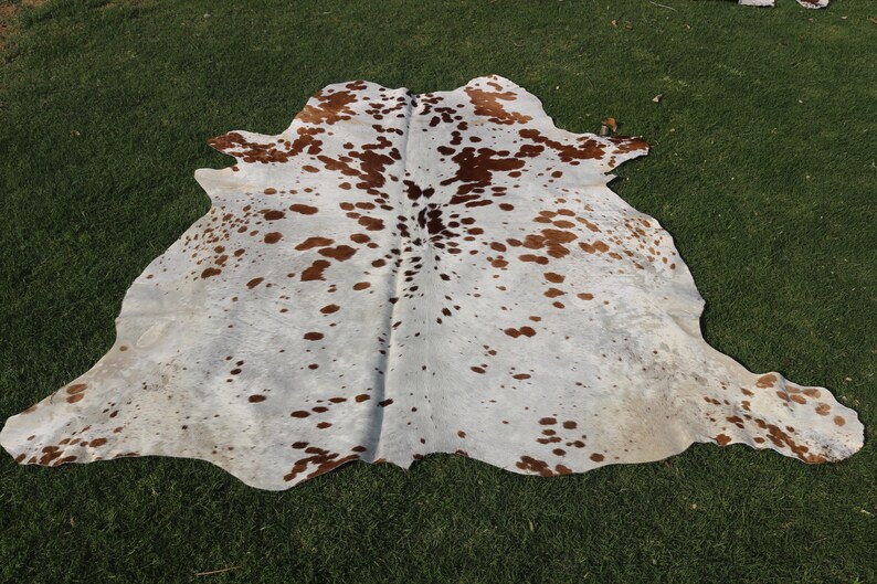 May include: A white cowhide rug with brown spots. The rug is laid out on a green grassy surface.