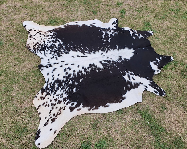 May include: Black and white cowhide rug with a spotted pattern. The rug is laid out on a green grassy surface.