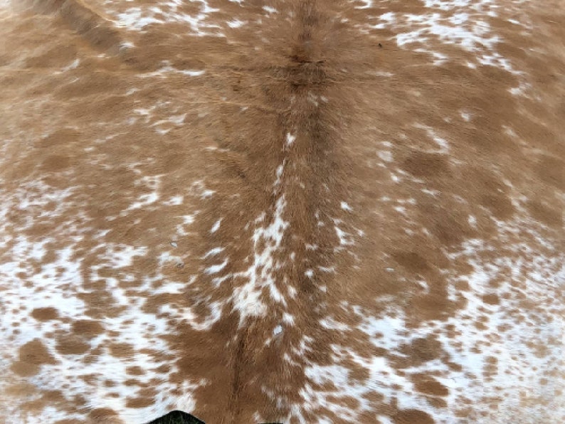 Pode incluir: Um tapete de pele de vaca marrom e branco com um padr&atilde;o natural manchado. A pele &eacute; macia e flex&iacute;vel, com um brilho natural.