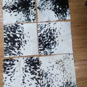 Puede incluir: Seis piezas cuadradas de piel de vaca con un patr&oacute;n de manchas blancas y negras. Las piezas est&aacute;n dispuestas sobre una superficie de madera, mostrando la textura natural y las variaciones de color de la piel. Ideal para manualidades o decoraci&oacute;n del hogar.
