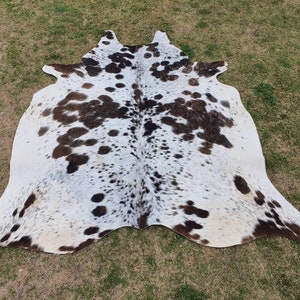 Può includere: Un tappeto di pelle di mucca bianca con macchie marroni. Il tappeto è steso su una superficie erbosa verde.