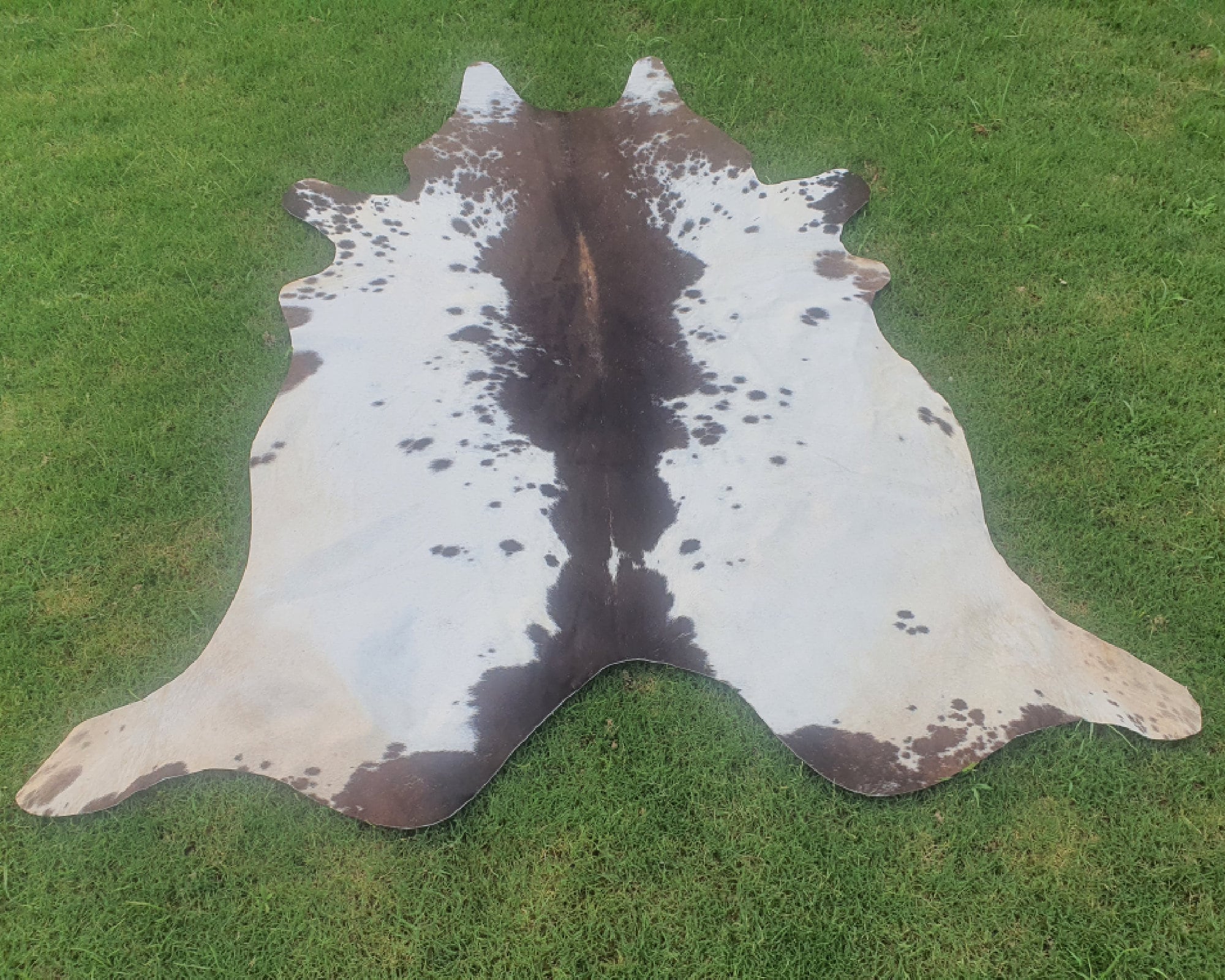 Brown and White Cowhide-best Cowhide-cow Skin Hide-tri-colour Rug ...