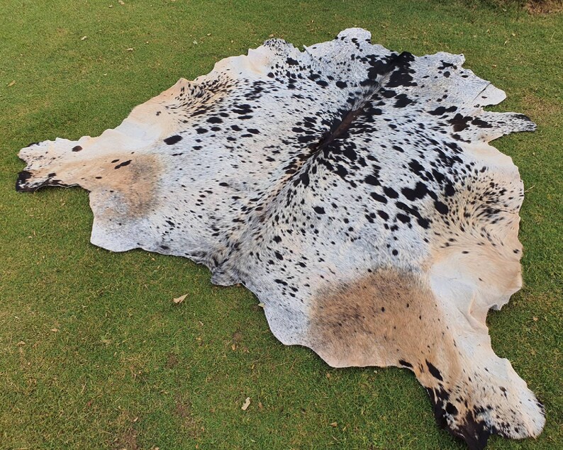 May include: A cowhide rug with black and white spots and a tan patch. The rug is laid out on a green grassy surface.