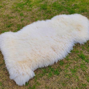 May include: A white sheepskin rug with long, fluffy fur. The rug is laid out on a grassy surface.