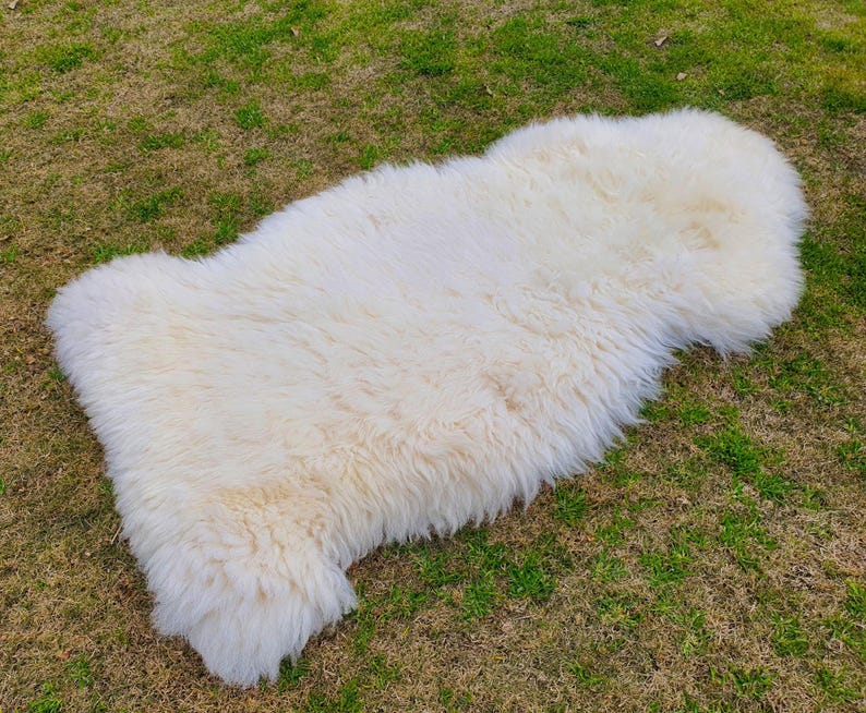 May include: A white sheepskin rug with long, fluffy fur. The rug is laid out on a grassy surface.