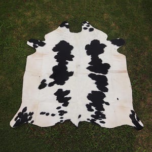 May include: A cowhide rug with a natural, irregular shape. The rug features a white background with large, irregular black spots and patches. The hide is laid out on a green grassy surface.
