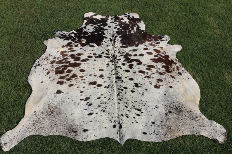 May include: A white cowhide rug with brown and black spots. The rug is laid out on a green grassy surface.