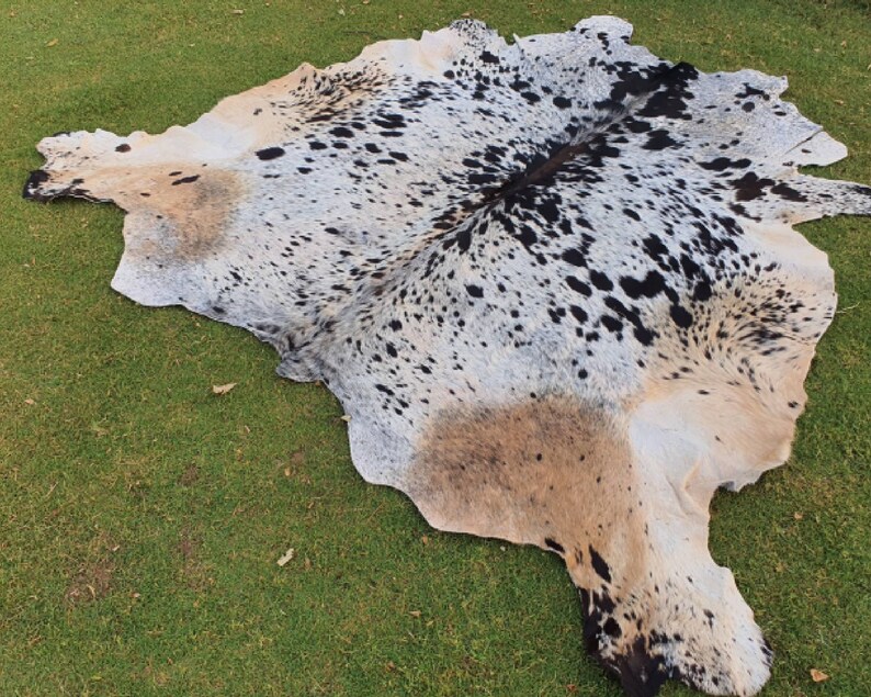 May include: A cowhide rug with a white, black, and brown spotted pattern. The rug is laid out on a green grassy surface.
