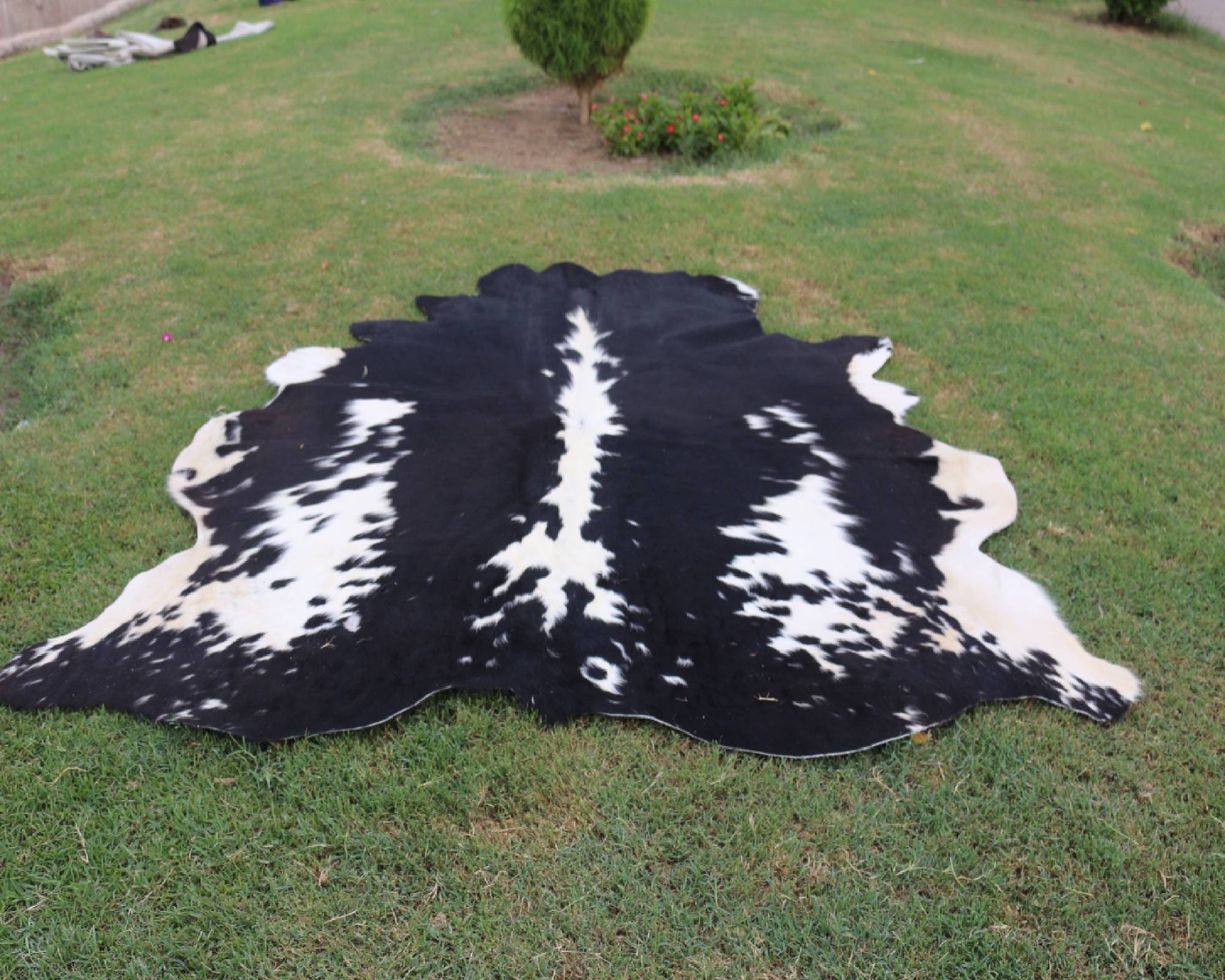 Cowhide Rug Tricolor Living Room Area Rug Cow Hide Small / Etsy