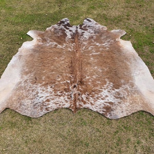 May include: A brown and white cowhide rug with a natural, spotted pattern. The rug is laid out on a green grassy surface.