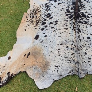 May include: A white cowhide rug with black spots. The rug is laid out on a green grassy surface.