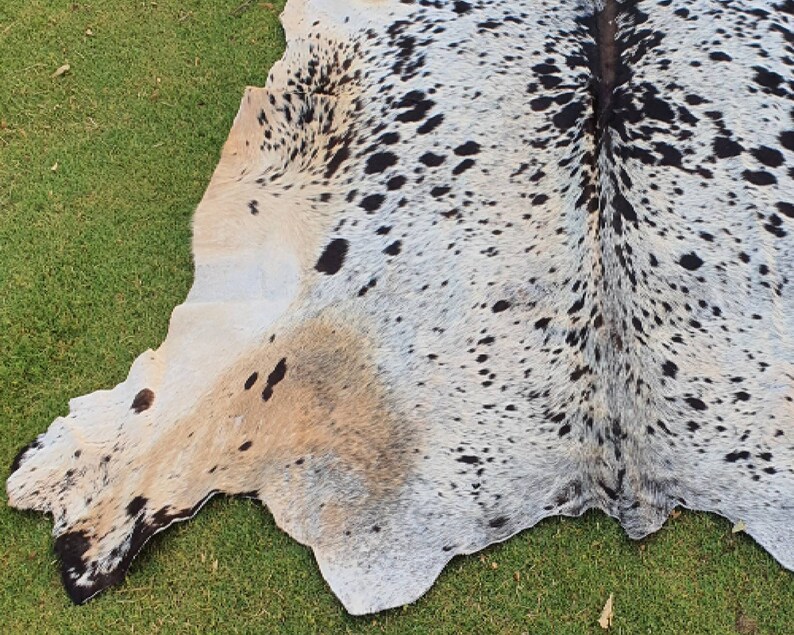 May include: A white cowhide rug with black spots. The rug is laid out on a green grassy surface.