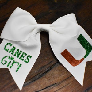 University of Miami bow