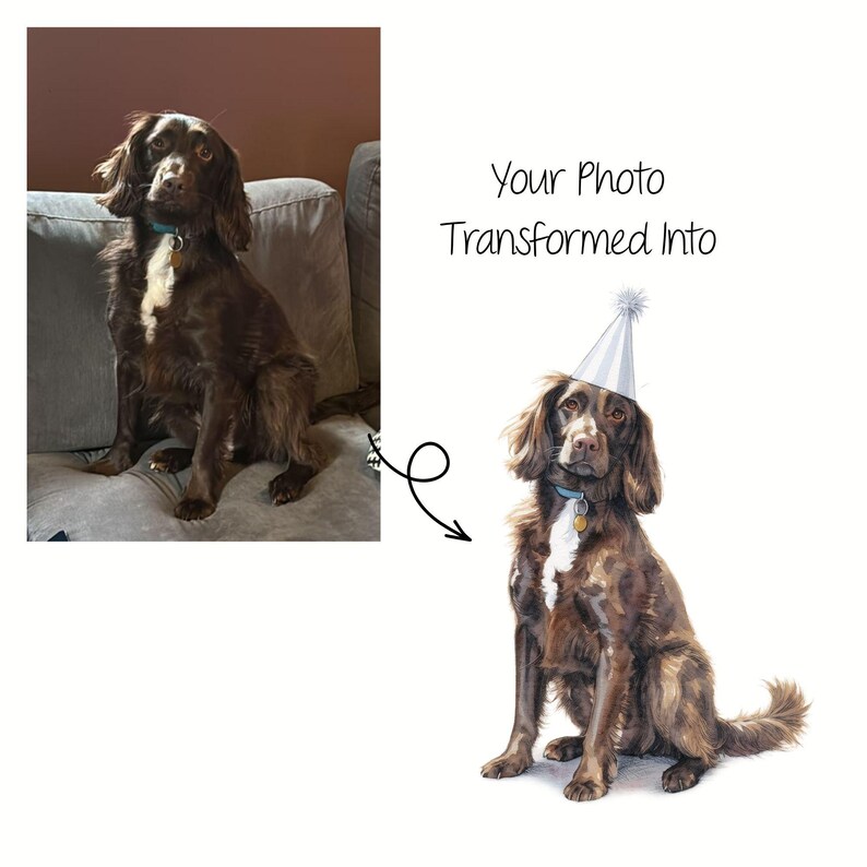 K&ouml;nnte beinhalten: Ein Vergleich nebeneinander zeigt ein Foto eines braunen Hundes mit einem wei&szlig;en Brustfleck auf einem grauen Sofa und eine digitale Illustration desselben Hundes mit einem silbernen Partyhut und dem Text Your Photo Transformed Into.