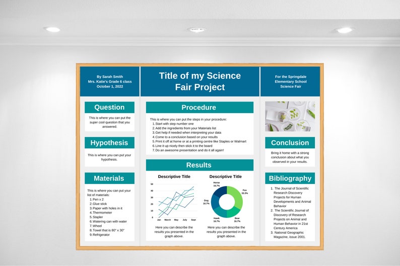 Science Fair Poster Template Design for a 48x36 Display Board Etsy Canada