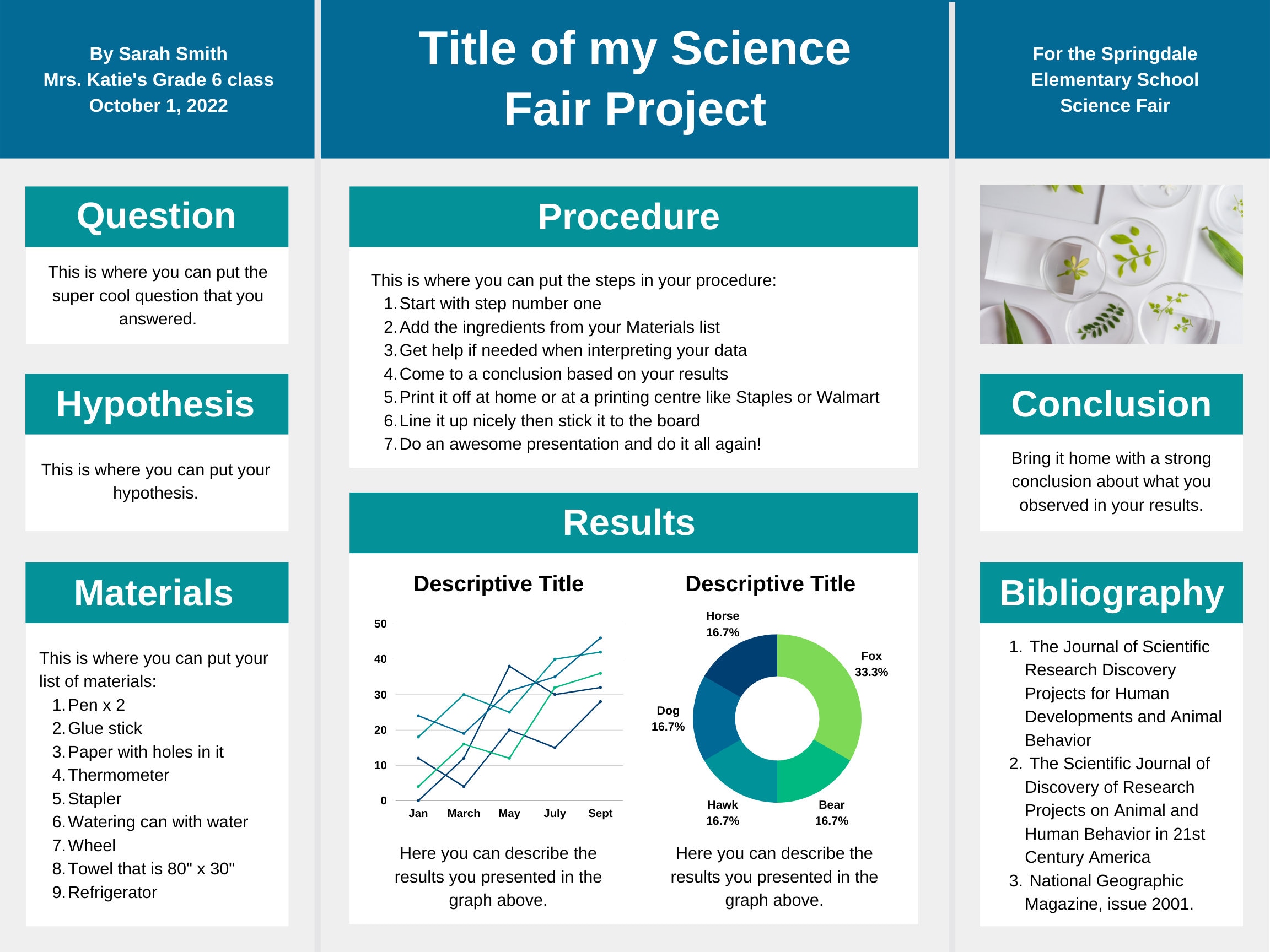 Science Fair Poster Template finally-finished-science-fair-projects-boards-science-fair-projects