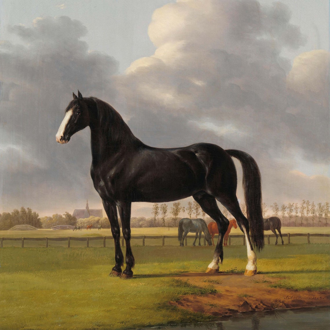 Black Horse Vintage Oil Painting Racehorse English Country black-horse-vintage-oil-painting-racehorse-english-country