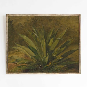 Agave / Stampa artistica in stile vintage sud-occidentale / Cactus messicano deserto botanico / Dimensioni stampa 5x7 8x10 9x12