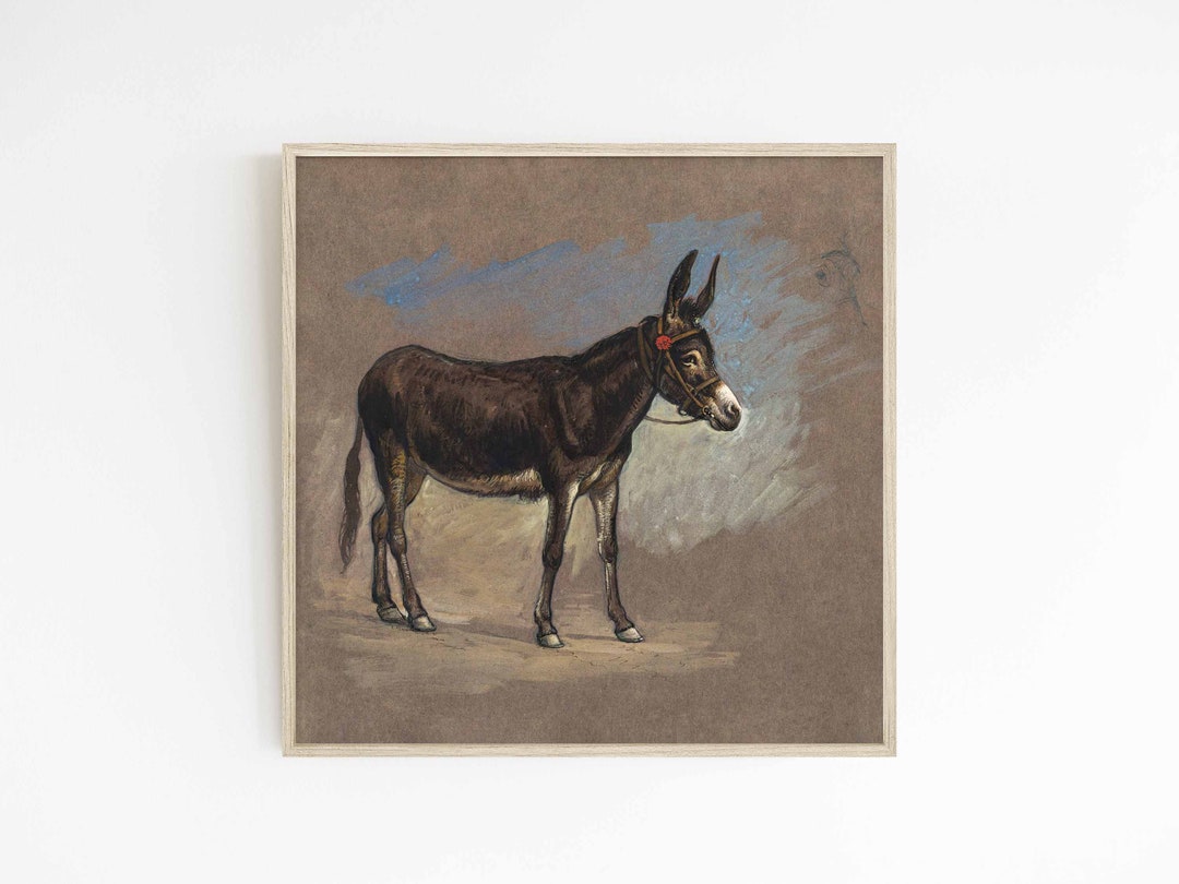Spanish Mule | Vintage Art Print | Antique Eclectic Animal Illustration ...