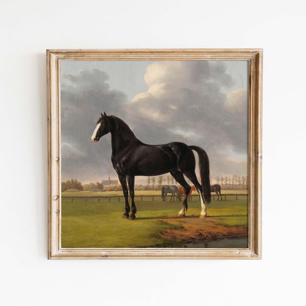 Black Horse | Peinture à l’huile vintage cheval de course | Ferme de campagne anglaise | Formats d’impression 8x8 10x10 carrés