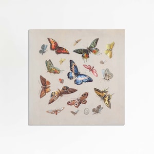 de la ménagerie des papillons dillustration à laquarelle vintage colorée dinsecte boho formats dimpression 8x8 10x10 carré image 3