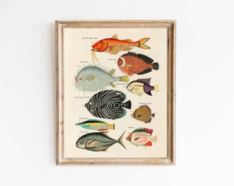 Colorful Fish | Vintage animal illustration | Victorian library art | print sizes 8x10 9x12 16x20