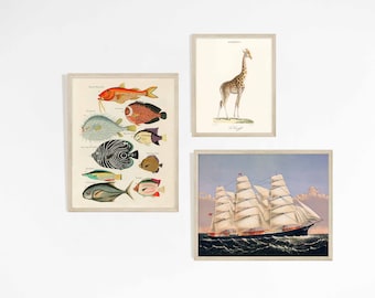 Explorer Gallery Wall Set | Kids room nursery decor | Print sizes 8x10 11x14 11x14 | Archival vintage art | Ship fish nautical theme giraffe