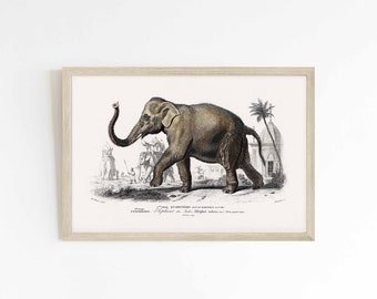 Elephant | Vintage French illustration animal print | Kids room wall decor circus theme | large print sizes 8x12 9x12 16x24
